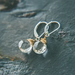 Perfection Signature Statement Earrings